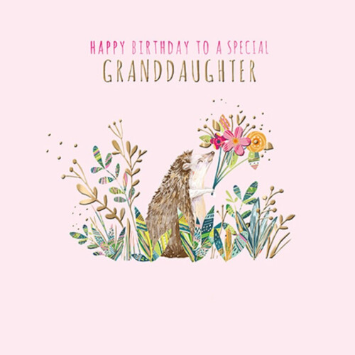 Granddaughter Birthday Greeting Card By The Curious Inksmith Greetings Cards On Onbuy