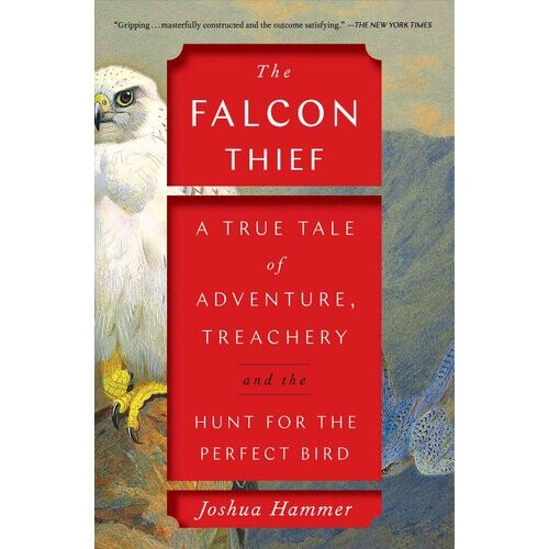 The Falcon Thief | Paperback