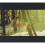 ID4z - CHILDISH GAMBINO - CAMP - CD - New 1