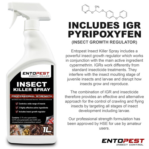 Entopest Universal Insect Killer RTU Spray 2 x 1L with IGR 2