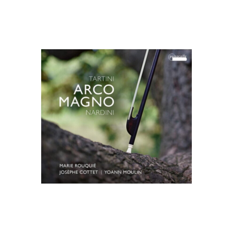 Tartini & Nardini Arco Magno - Image 5