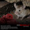 Roshield Roshield Pre-Baited Single Feed Mouse Control Safety Box Kit (Ready-to-use 10 Pack, Brodifacoum) 2