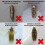 Pack of 30 Entopest Common Clothes Moth Pheromone Replacement Refill Pads 5