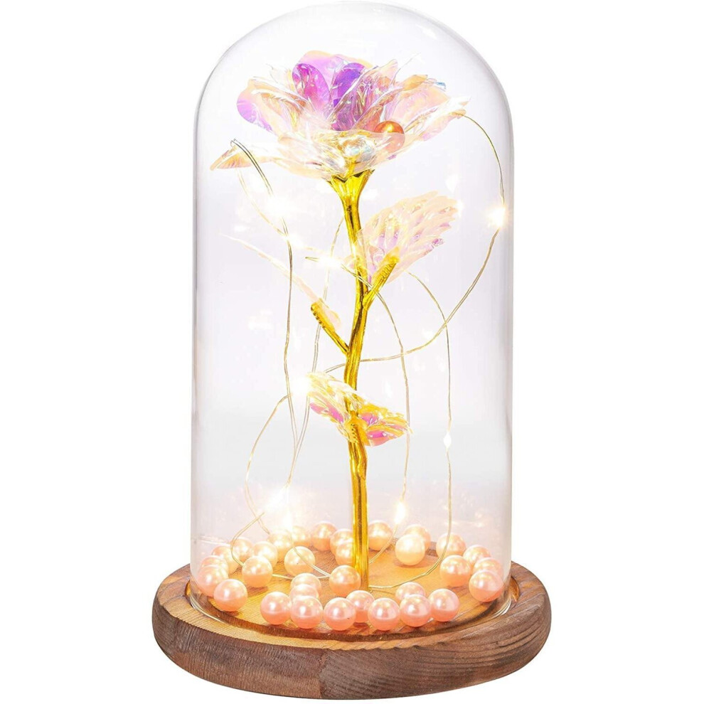 Metal Rose Glass Dome Light