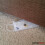 (10 Hangers Clear) Entopest Moth Hangers for Pheromone Pads 3