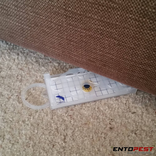 (10 Hangers Clear) Entopest Moth Hangers for Pheromone Pads 2