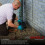 Roshield (Pack of 1) Roshield External Tamper-Proof Bait Stations for Rodent Control 5