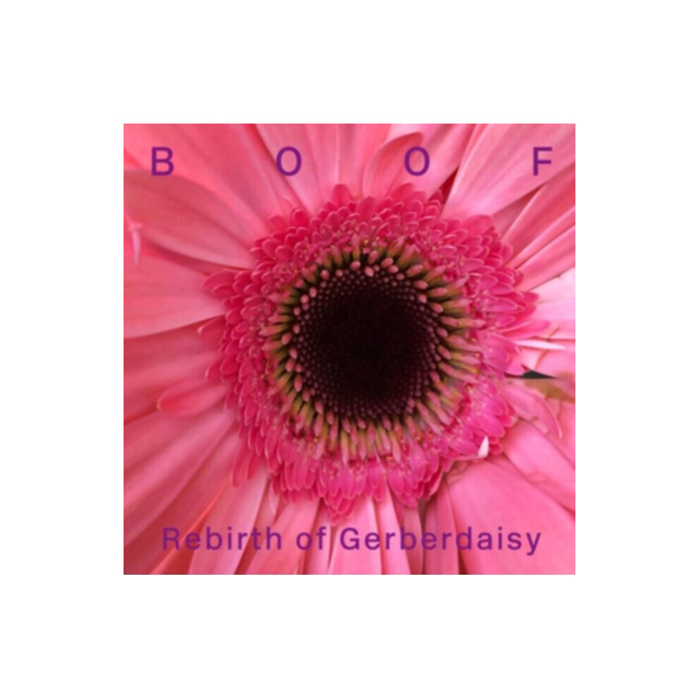 Boof Rebirth of Gerberdaisy Double LP Vinyl RBBTLP3 NEW - Image 3