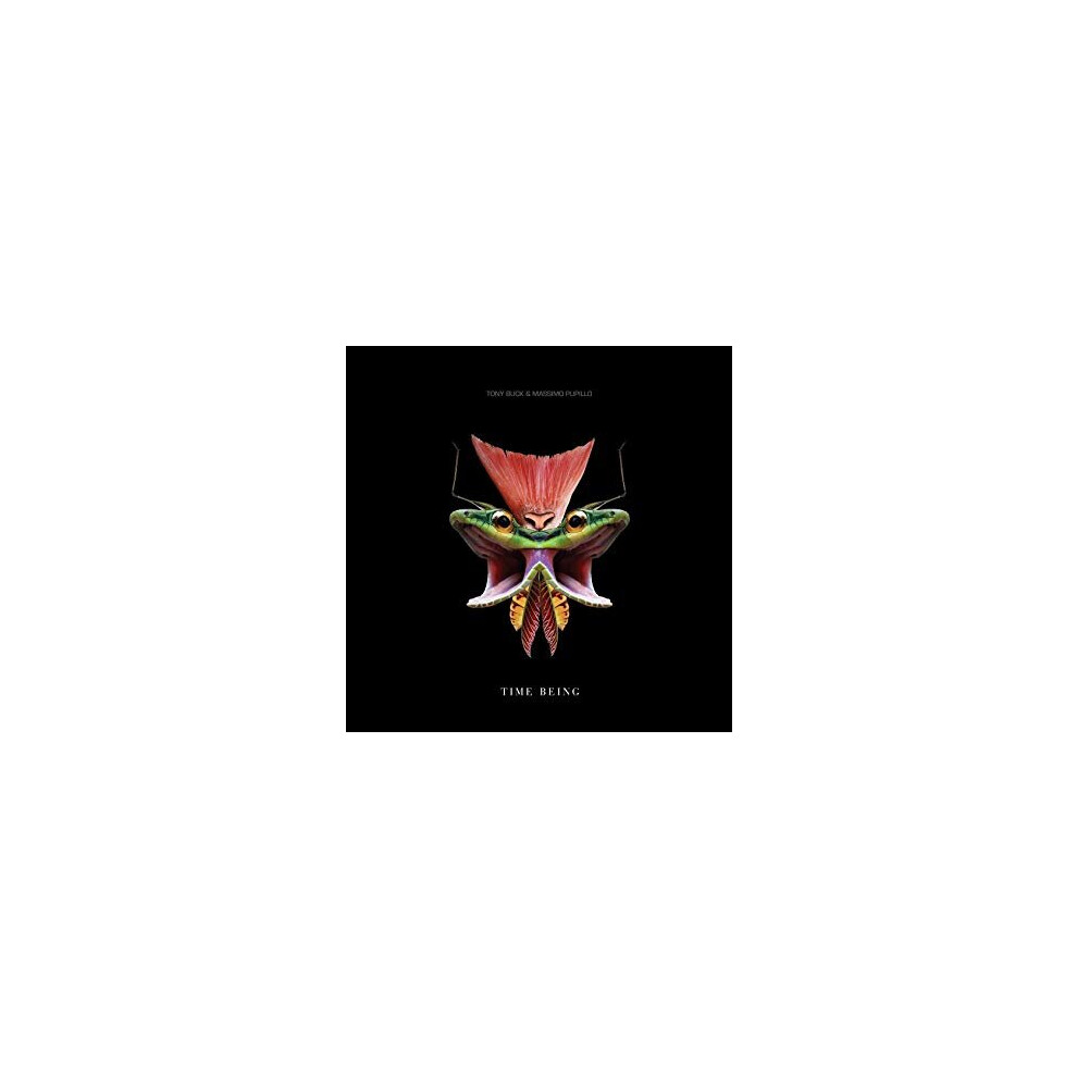 TIME BEING - Image 5