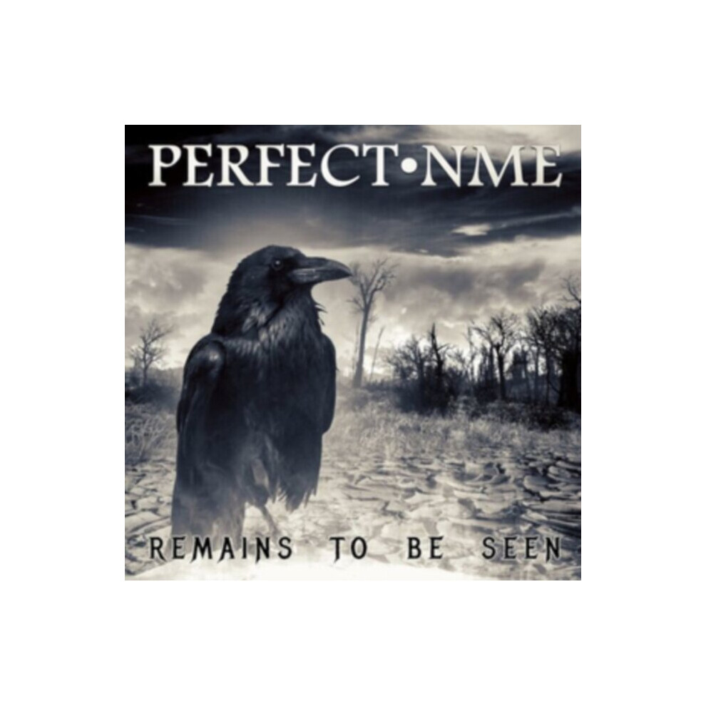 Perfect Nme Remains To Be Seen CD WHD211 NEW - Image 5