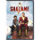Warner Bros Shazam! (DVD) 1