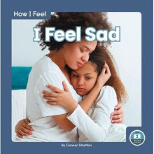 I Feel Sad 9781646192922