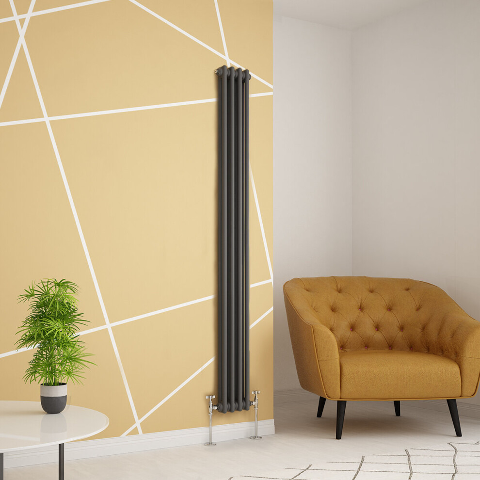 Plumbgalaxy (1800 X 200Mm Double, Anthracite) Traditional-Style Cast Iron Radiator