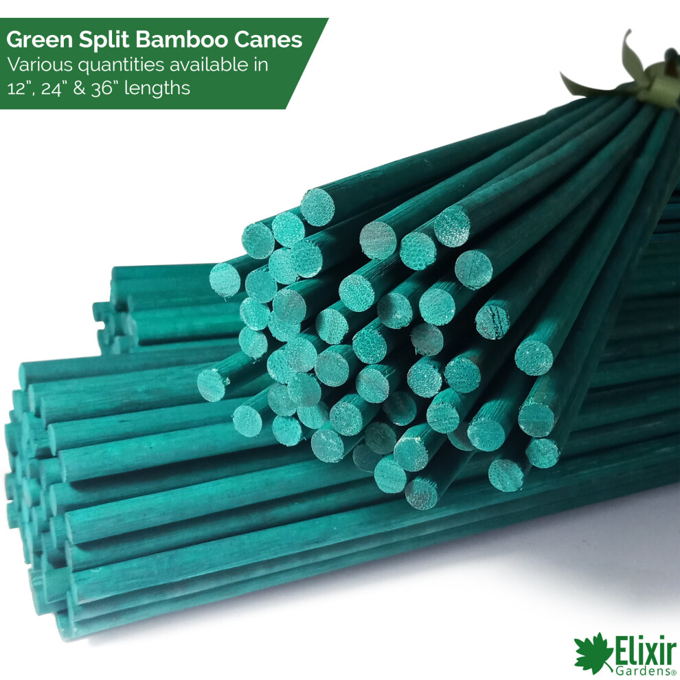 (36 Inch / 90cm, 200) Elixir Gardens | Green Split Bamboo Canes / Support Sticks |12", 24" & 36"