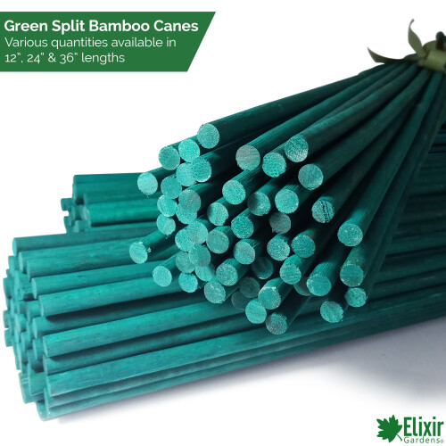 Elixir Garden Supplies (24 Inch / 60cm, 30) Elixir Gardens | Green Split Bamboo Canes / Support Sticks |12", 24" & 36"