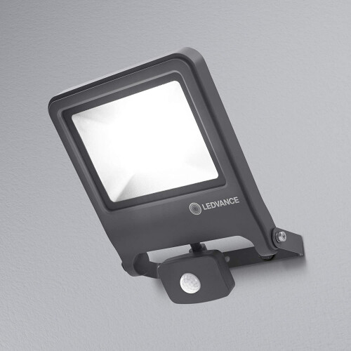 (With Sensor | 50W) Ledvance Endura Flood Light | Dark Grey 2