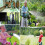 100FT Garden Hose Pipe Expandable Magic Telescopic Hose 6