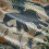 Savannah teal duvet set 4
