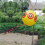 Defenders STV960 Eyeball Bird Scarer 3