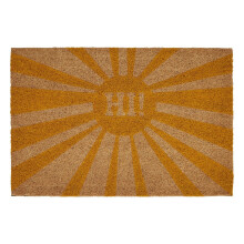 Hi Doormat Eye-catching Sunburst Pattern