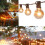 50ft Globe Festoon String Lights 1