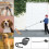 8-50KGS Large Dog Lead Leash Retractable Extendables Lockable 8M 6