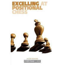Excelling at Positional Chess Everyman Chess