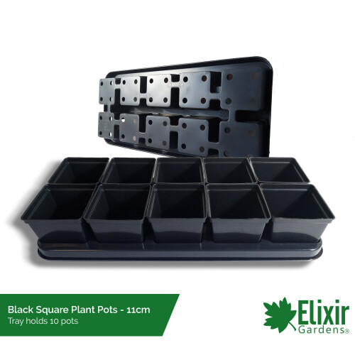 (11cm Square Black, 3) Plastic Plant Pot + Carry Trays | Square and Round Pots | 7cm, 9cm, 10.5cm, 11cm, 12cm and 13cm sizes