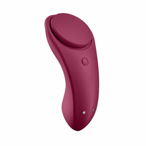 Sexy Secret Panty Vibrator 2