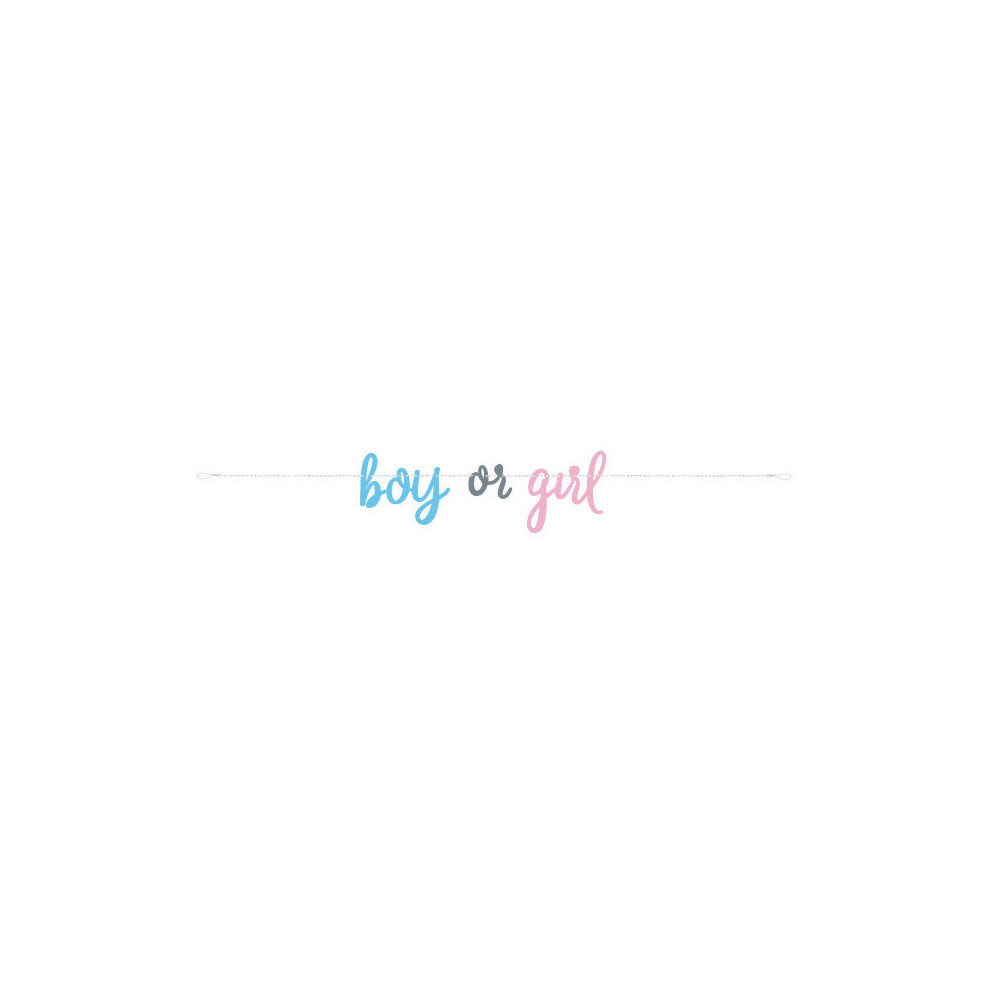 Gender Reveal Boy or Girl Letter Banner
