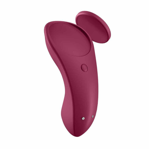 Sexy Secret Panty Vibrator 1