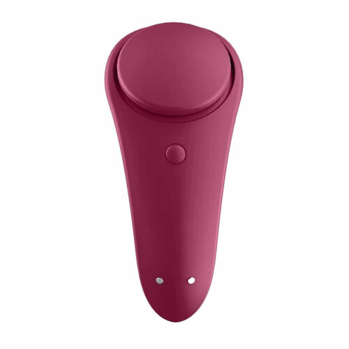 Sexy Secret Panty Vibrator