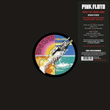 Pink Floyd / Wish You Were Here (1LP/180g//US)