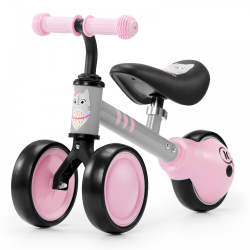 Baby's 2024 first bicycle