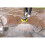Kärcher Καθαριστικό επιφανειών Karcher T7 Plus T-Racer για καθαρισμό βεράντας 4