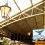 (Stone) Birdgo 50mm Pigeon Netting 10m x 5m 7
