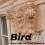 (Stone) Birdgo 50mm Pigeon Netting 10m x 5m 5