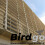 (Stone) Birdgo 50mm Pigeon Netting 10m x 5m 6
