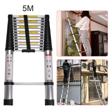 5m Telescopic Ladder