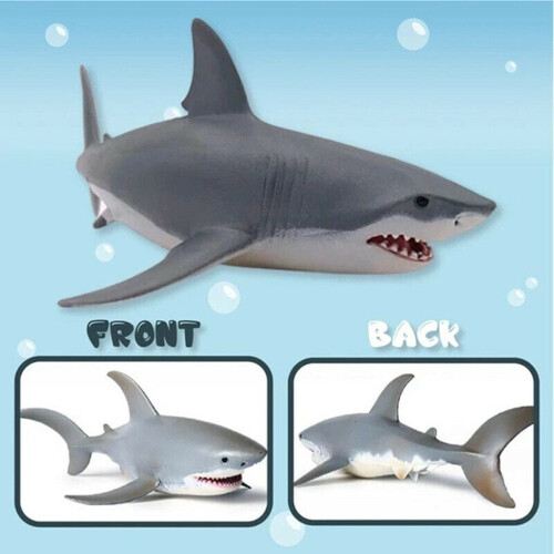 (As Seen on Image) Realistic Simulation Shark Robotic Toy 2
