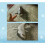 (As Seen on Image) Realistic Simulation Shark Robotic Toy 4