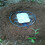 (Type) Spring Trap For Animal Hunting 1