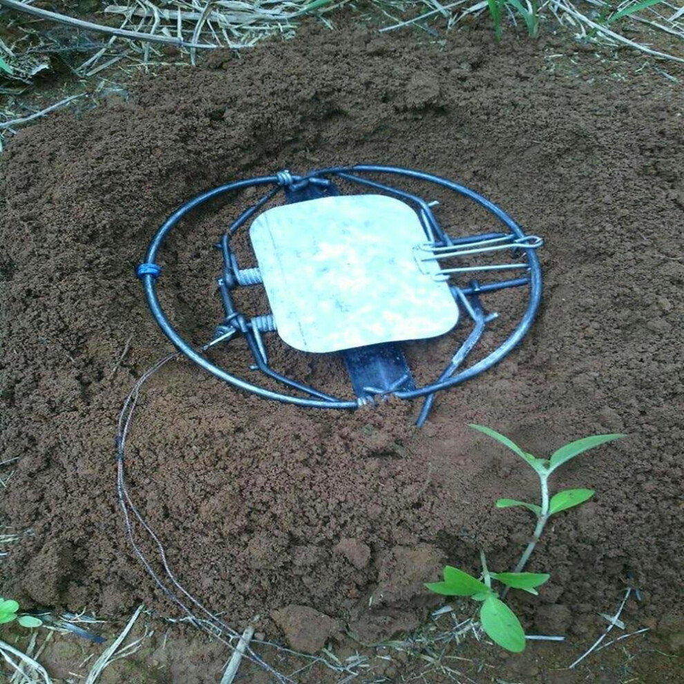 (Type) Spring Trap For Animal Hunting