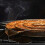 Smoke Generator BBQ Burn Smoker Box Grill Fish Meat Tools Stainless Steel 12