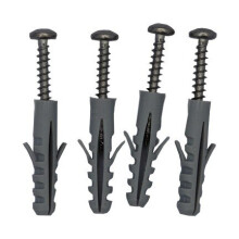 Plastica 4 x SS Screw and Wall Plug for ABS Bracket