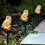 (White x 2) Owl Shaped Solar LED Light Waterproof Lamp Spike 10