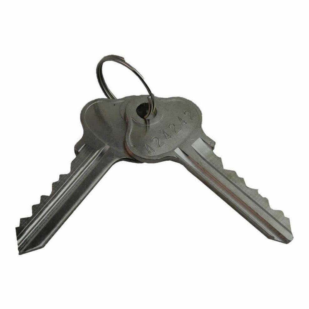 Plastica Safety Gate Key Post 2014