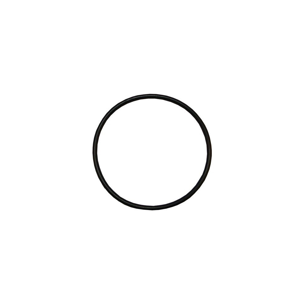 Plastica Sta-Rite Lid O-Ring 5P4r 5Mpr 5060228651182