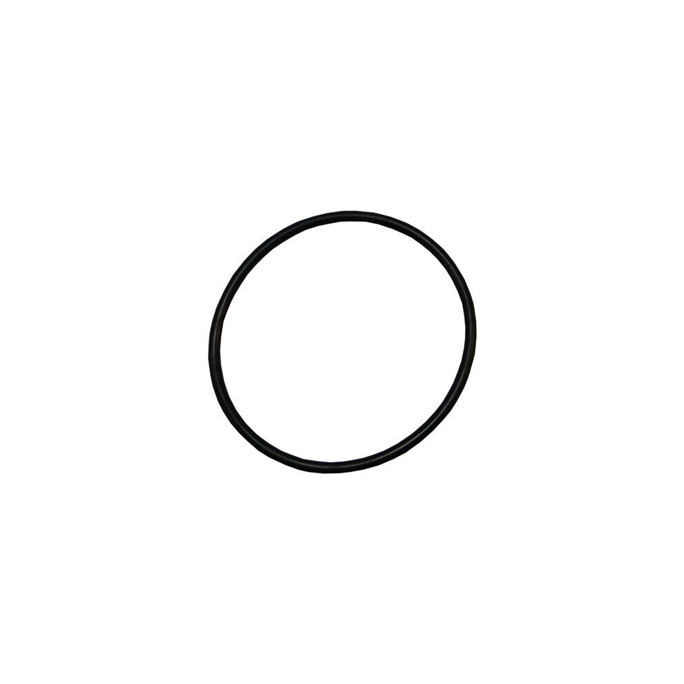 Plastica Sta Rite Lid O-Ring 5P2r 5060228650826