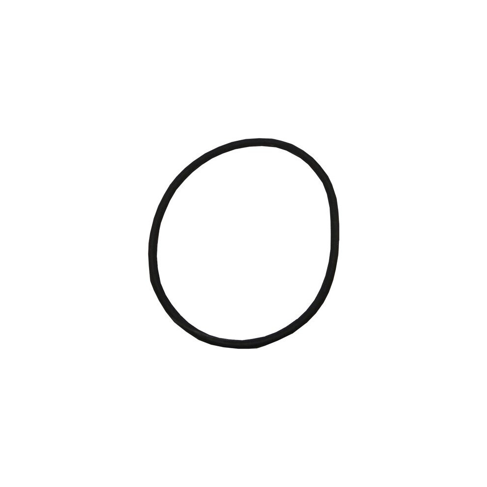 Plastica Sta-Rite Lid O-Ring 5P6r 5060228651694